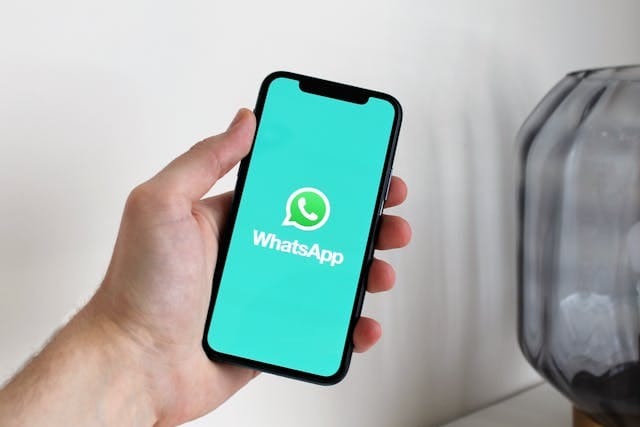 Como Usuários Encontram Alternativas ao WhatsApp Mesmo em Meio à Proibição