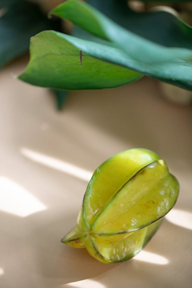 Melhores Frutas Tropicais -carambola
