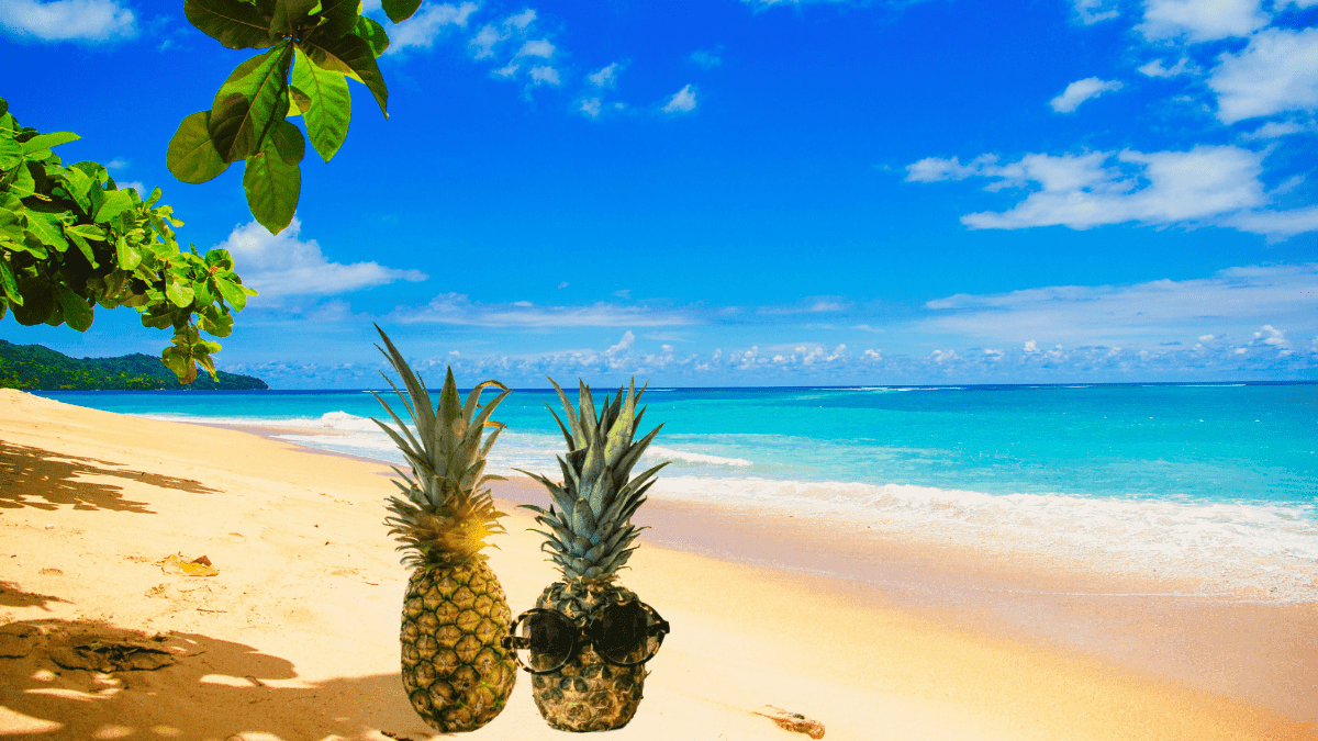 10 Curiosidades sobre o Abacaxi que Você Precisa Conhecer