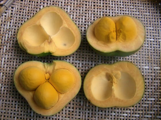 pequi - As Frutas Exóticas Mais Consumidas no Brasil: Descubra Sabores Únicos