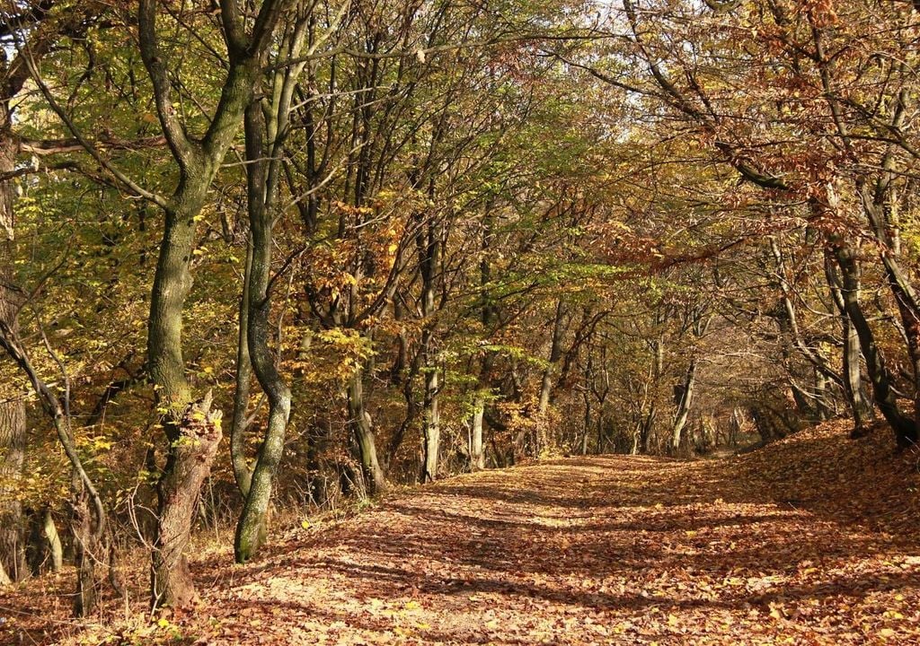 Nos quatro cantos do planeta existem lugares que desafiam a lógica e confundem até os cientistas mais experientes. Apesar da tecnologia e do avanço das pesquisas, certos fenômenos permanecem sem explicação. Neste artigo, vamos explorar sete locais misteriosos que intrigam especialistas e encantam curiosos do mundo inteiro.